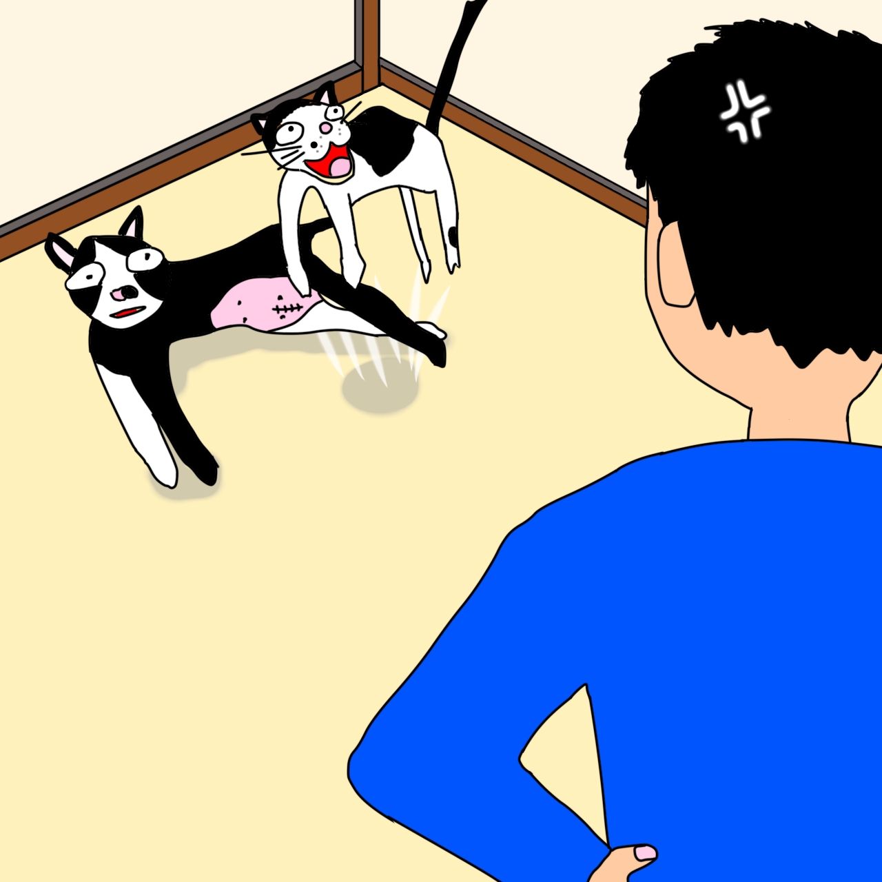 デフリンピック閉会と猫紛争